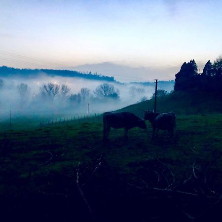 Fattoria Lucciano Villa Borghetto  Bagian luar foto