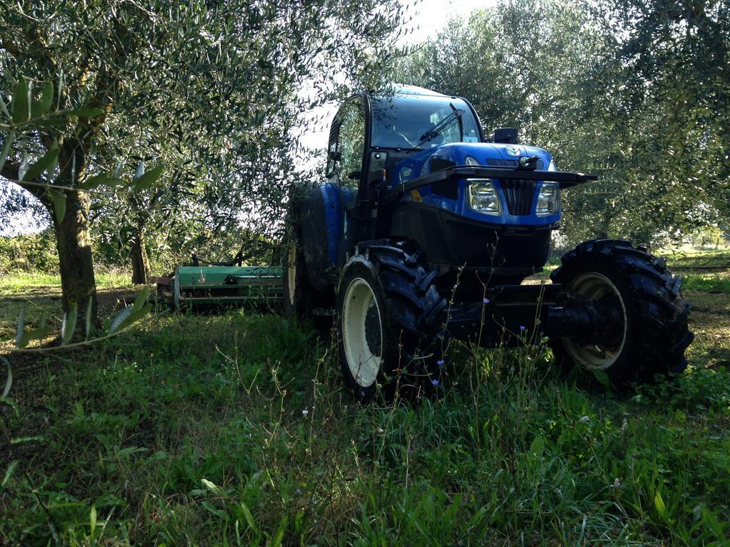 Fattoria Lucciano Villa Borghetto  Bagian luar foto