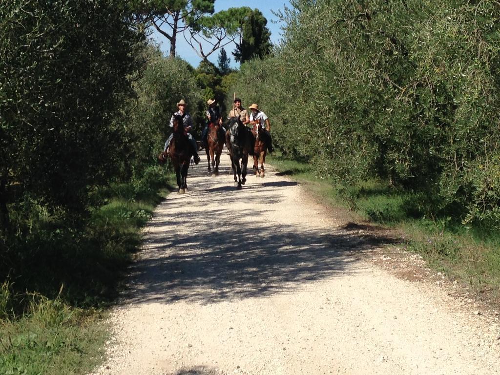 Fattoria Lucciano Villa Borghetto  Bagian luar foto