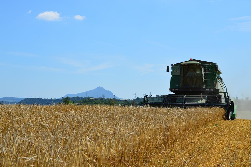 Fattoria Lucciano Villa Borghetto  Bagian luar foto