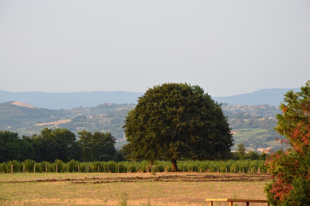 Fattoria Lucciano Villa Borghetto  Ruang foto