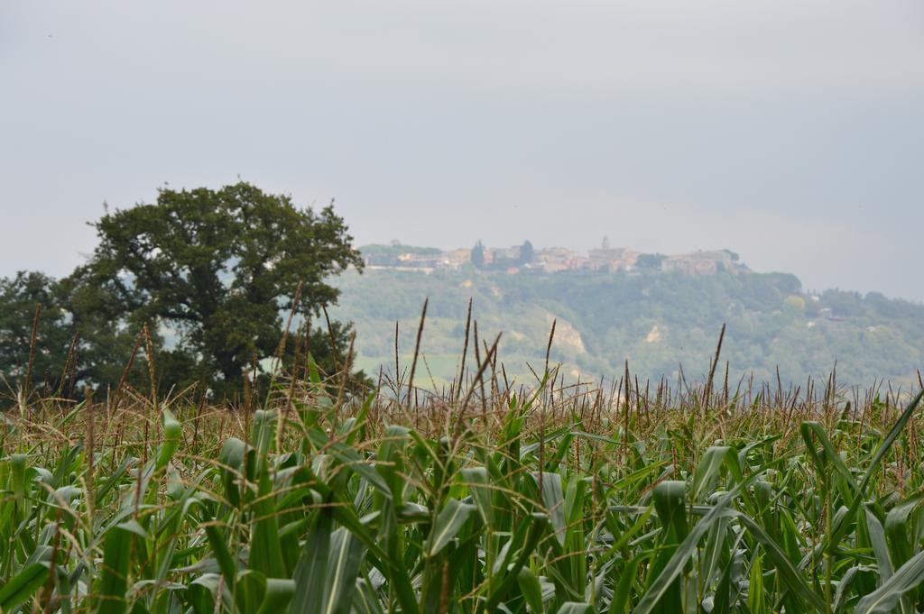 Fattoria Lucciano Villa Borghetto  Bagian luar foto