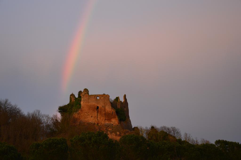 Fattoria Lucciano Villa Borghetto  Bagian luar foto