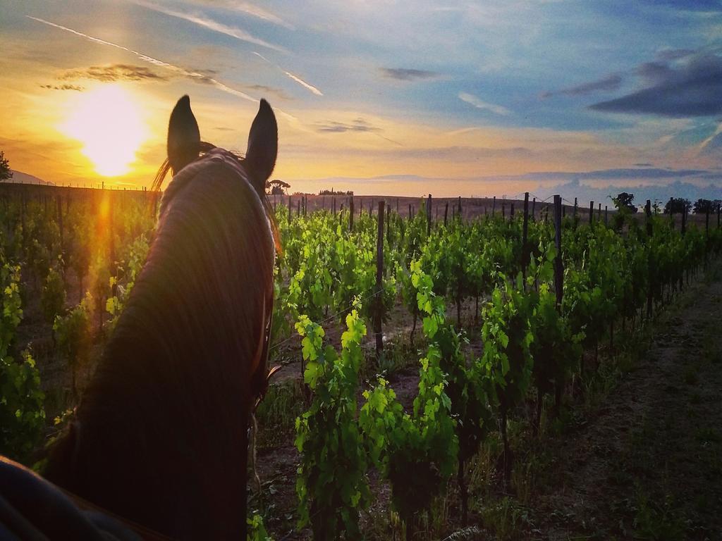 Fattoria Lucciano Villa Borghetto  Bagian luar foto