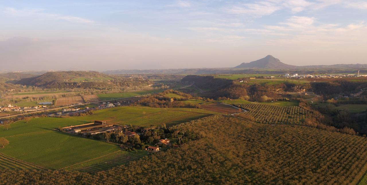 Fattoria Lucciano Villa Borghetto  Bagian luar foto