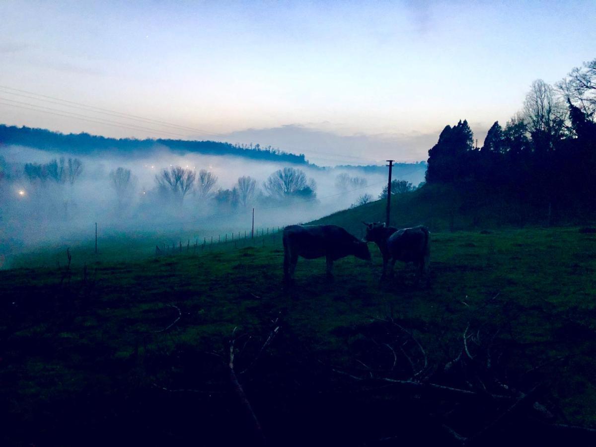 Fattoria Lucciano Villa Borghetto  Bagian luar foto